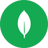 MongoDB icon